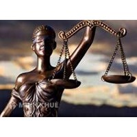 Litigation Lawyer in commercial, trading lawsuit: