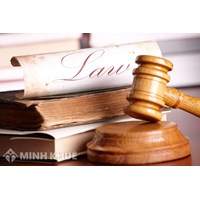 Consultancy on civil law:
