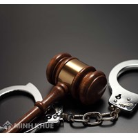 Consultancy on criminal law in Vietnam