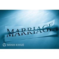 Legal consultancy on marriage and family involving foreign element