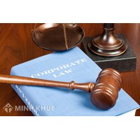Consultancy on administrative law: