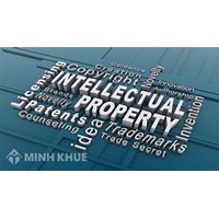 Online legal consultancy on intellectual property