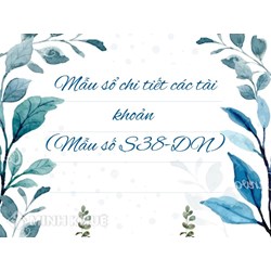 Mẫu sổ chi tiết cac tài khoản (Mẫu số S38-DN)