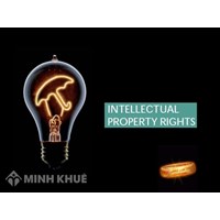 Protection and enforcement of intellectual property rights service