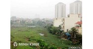 Cần gia hạn sổ đỏ hay khai nhận chia thừa kế quyền sử dụng đất?