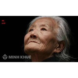 Tư vấn về thẩm quyền giải quyết quan hệ nuôi dưỡng của Tòa án ?