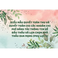 Biểu mẫu quyết toán thu và quyết toán chi các khoản chi phí đăng tải thông tin về đấu thầu và lựa chọn nhà thầu qua mạng (phụ lục 5)