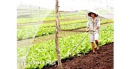 Mẫu tờ khai thuế sử dụng đất nông nghiệp (Mẫu số 02/SDNN)