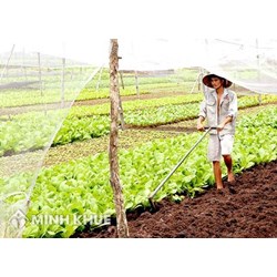 Mẫu tờ khai thuế sử dụng đất nông nghiệp (Mẫu số 02/SDNN)