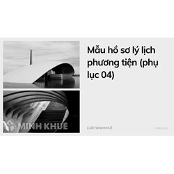 Mẫu hồ sơ lý lịch phương tiện (phụ lục 04)