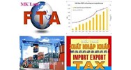 Việt Nam đã ký hiệp định tránh đánh thuế hai lần với những quốc gia nào ?