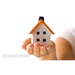 Hướng dẫn thủ tục mua bán đất trồng cây lâu năm ? Mua bán mua bán đất trồng trọt, đất nông nghiệp ?