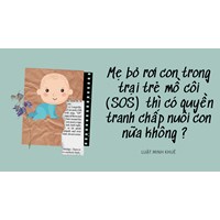 Mẹ bỏ rơi con trong trại trẻ mồ côi (SOS) thì có quyền tranh chấp nuôi con nữa không ?  