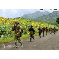 Học ở trung tâm giáo dục thường xuyên có được miễn nghĩa vụ quân sự?