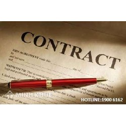 Công ty ký cùng một lúc 2 hợp đồng với cùng một người đại diện có vi phạm pháp luật không?