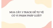 Mua cây 3 track để tự vệ có vi phạm pháp luật?