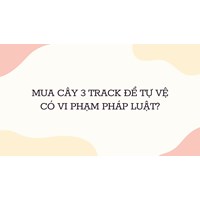 Mua cây 3 track để tự vệ có vi phạm pháp luật?