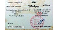 Tư vấn về sử dụng bằng đại học giả?