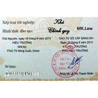 Tư vấn về sử dụng bằng đại học giả?