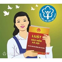Tư vấn về điều kiện hưởng chế độ thai sản theo luật bảo hiểm xã hội ?
