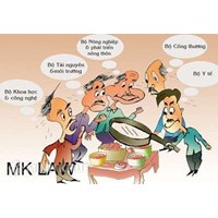 Tư vấn để cấp giấy chứng nhận cơ sở đủ điều kiện vệ sinh an toàn thực phẩm thì cần những thủ tục gì?