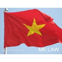 Nhập quốc tịch Việt Nam cho con khi con đã có quốc tịch nước ngoài?