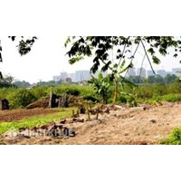 Thẩm quyền thụ lý đơn tố cáo của UBND xã và huyện ?