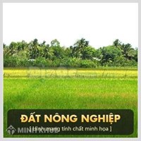 Hộ gia đình có được chuyển nhượng đất nông nghiệp không ?