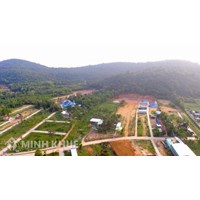 Tách đất trồng cây lâu năm thành nhiều thửa để bán có hợp pháp không ?