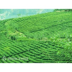 Hỏi đáp về quyền sử dụng đất ?