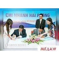 Doanh nghiệp nào cần phải được kiểm toán báo cáo tài chính năm ?