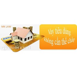 Hậu quả khi bị kiện về trả chậm thời gian trả của vay tiêu dùng ?
