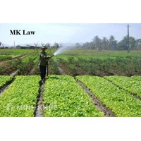 Quyền sử dụng đất tự khai hoang ?