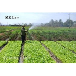 Quyền sử dụng đất tự khai hoang ?