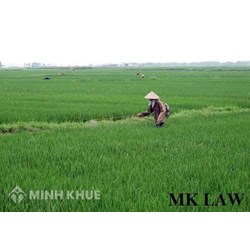 Đòi lại lối đi đất ruộng?