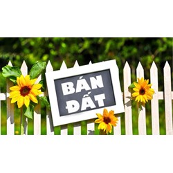 Bán đất nhưng chưa sang tên sổ đỏ có đòi lại được đất không?