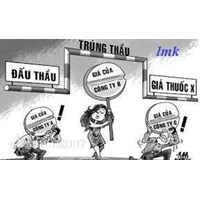 Tư vấn về việc đặt tên gói thầu của đơn vị dự thầu 