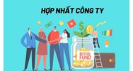 Thủ tục hợp nhất công ty theo quy định mới nhất