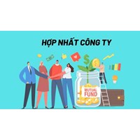 Thủ tục hợp nhất công ty theo quy định mới nhất