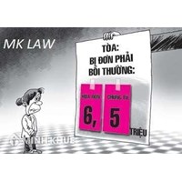 Tư vấn giải quyết tranh chấp đất đai về tự ý tháo dỡ phần mái nhà của hàng xóm khi xây dựng ?