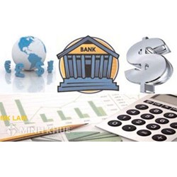 Phí phạt vi phạm do vi phạm thời hạn trả nợ trong hợp đồng vay tín dụng ?