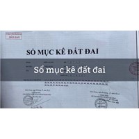 Sổ mục kê là gì? Mẫu sổ mục kê đất đai theo quy định hiện hành