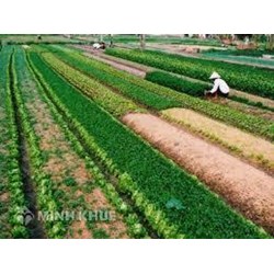 Tư vấn về việc chuyển đổi đất nông nghiệp sang đất ODT?