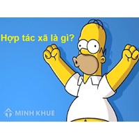 Tư vấn về vốn điều lệ của hợp tác xã ? Thủ tục đăng ký tăng vốn của Hợp tác xã ?