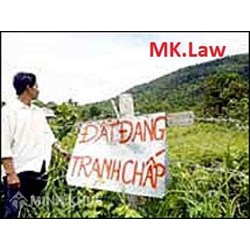 Tư vấn về việc đòi lại đất đã giao cho người khác quản lý mà không có giấy tờ?