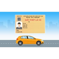 Mẫu giấy phép xe tập lái mới nhất theo quy định