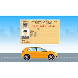 Mẫu giấy phép xe tập lái mới nhất theo quy định