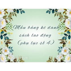 Mẫu bảng kê danh sách lao động (phụ lục số 4)