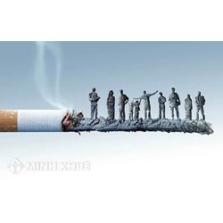 Mẫu bảng kê danh mục máy móc, thiết bị chuyên ngành kiểm tra chất lượng nguyên liệu thuốc lá