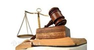 Hành vi nhổ cây ở vỉa hè bị xử phạt như thế nào ?